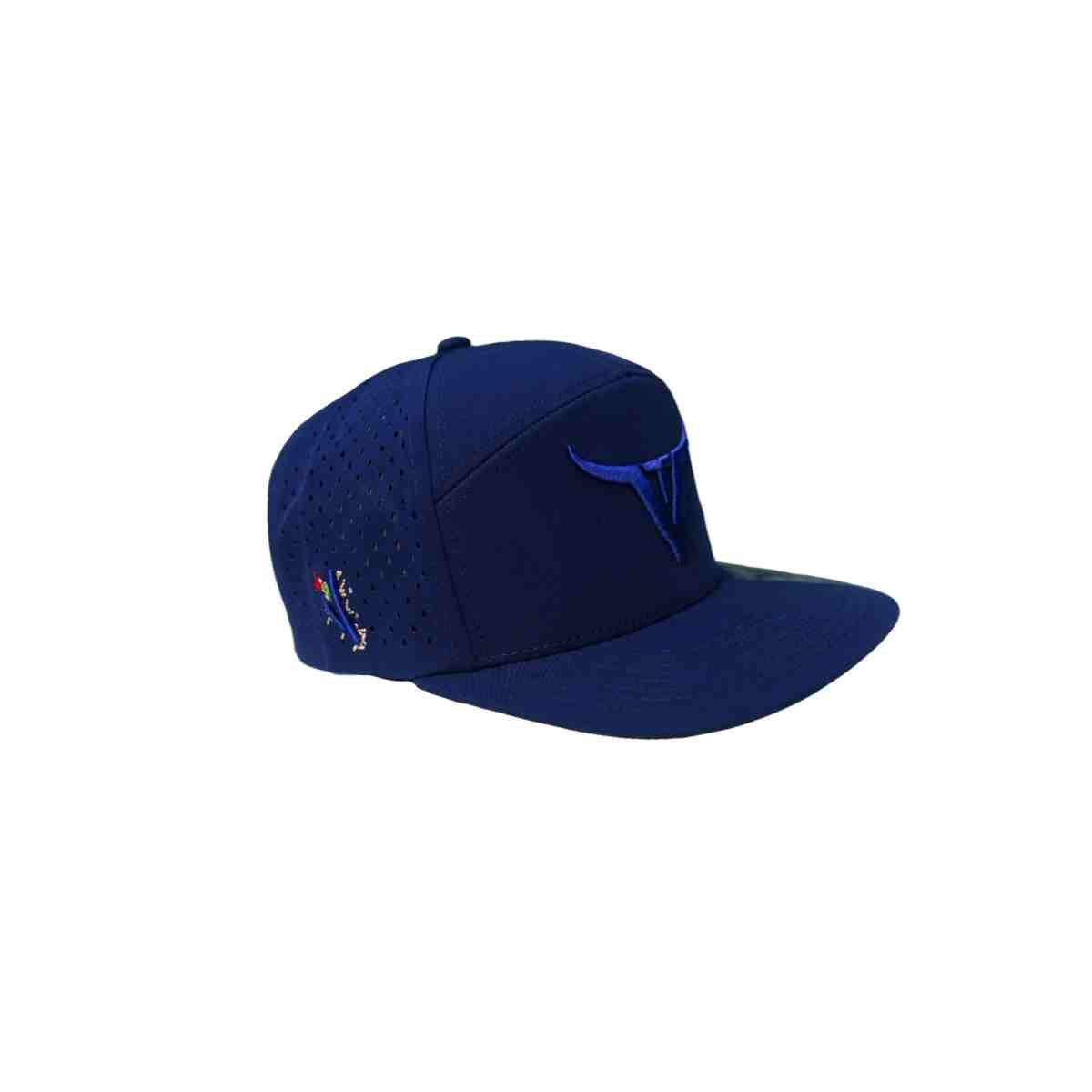 Limited Edition AG Cap